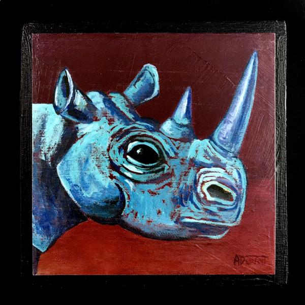 Rhino picture