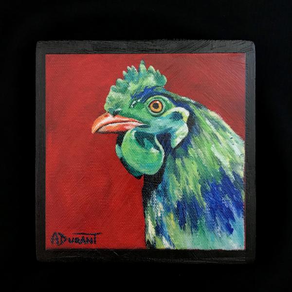 Rooster picture