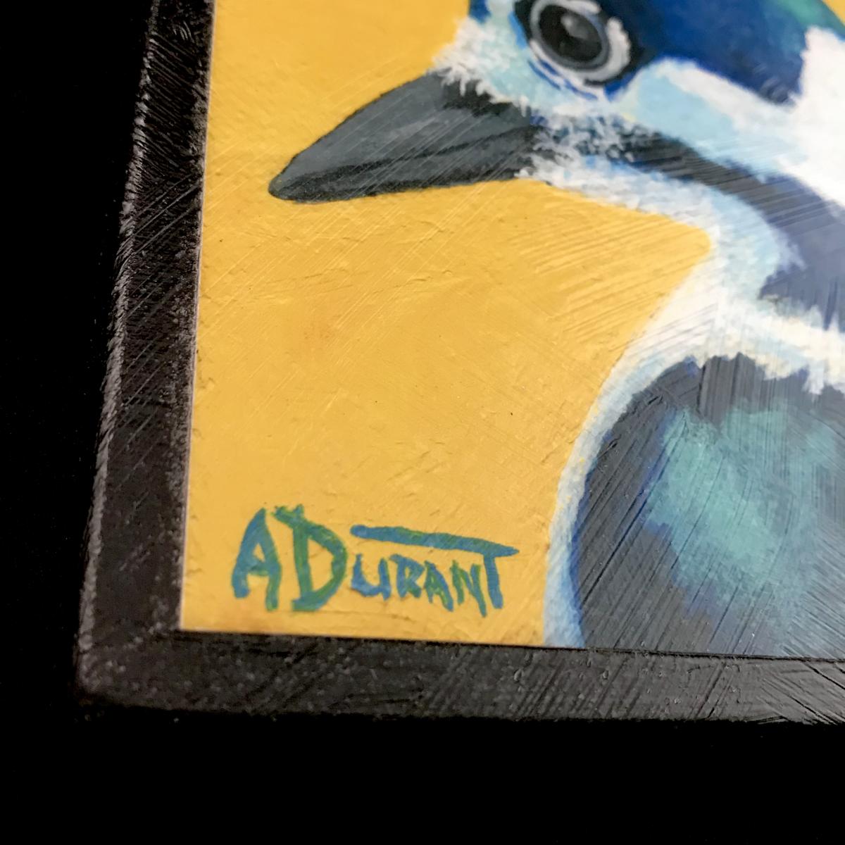 Downy Woodpecker picture