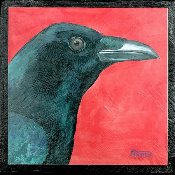 Crow