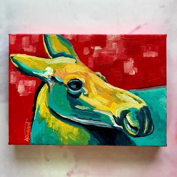 Moose