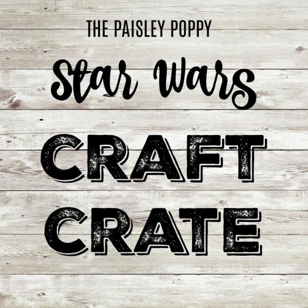 Star Wars Craft Crate Mystery Box