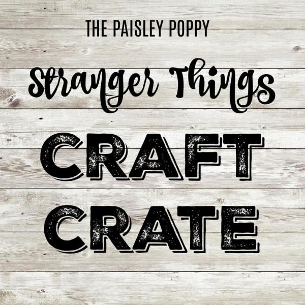 Stranger Things Craft Crate Mystery Box