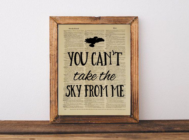 You Can't Take the Sky from Me Dictionary Page picture