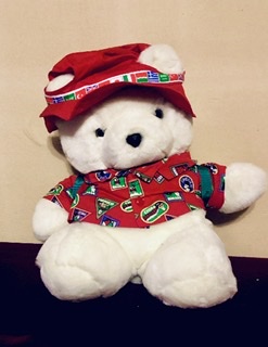 Santa Bear picture