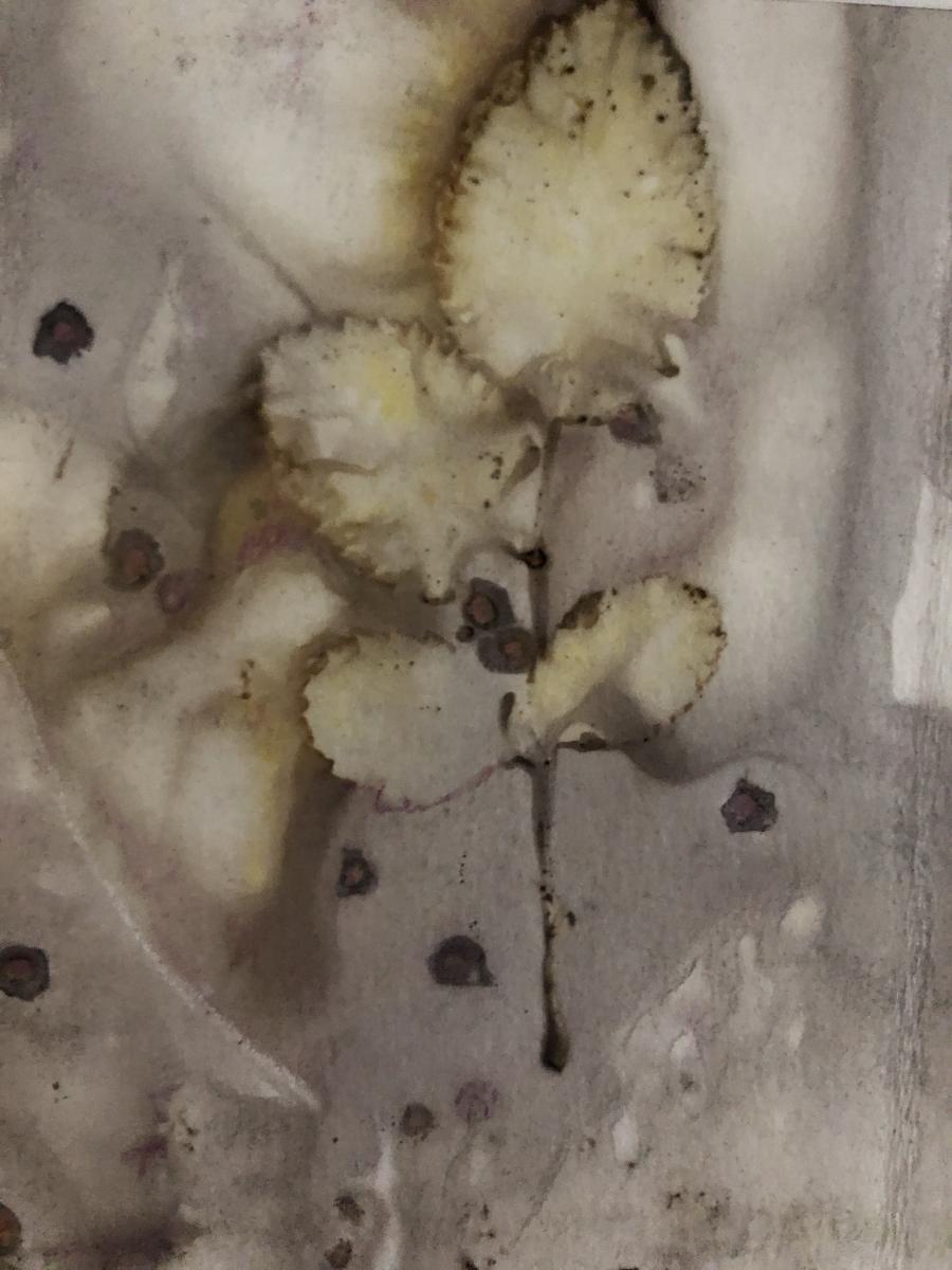 Mirrored Patterns picture