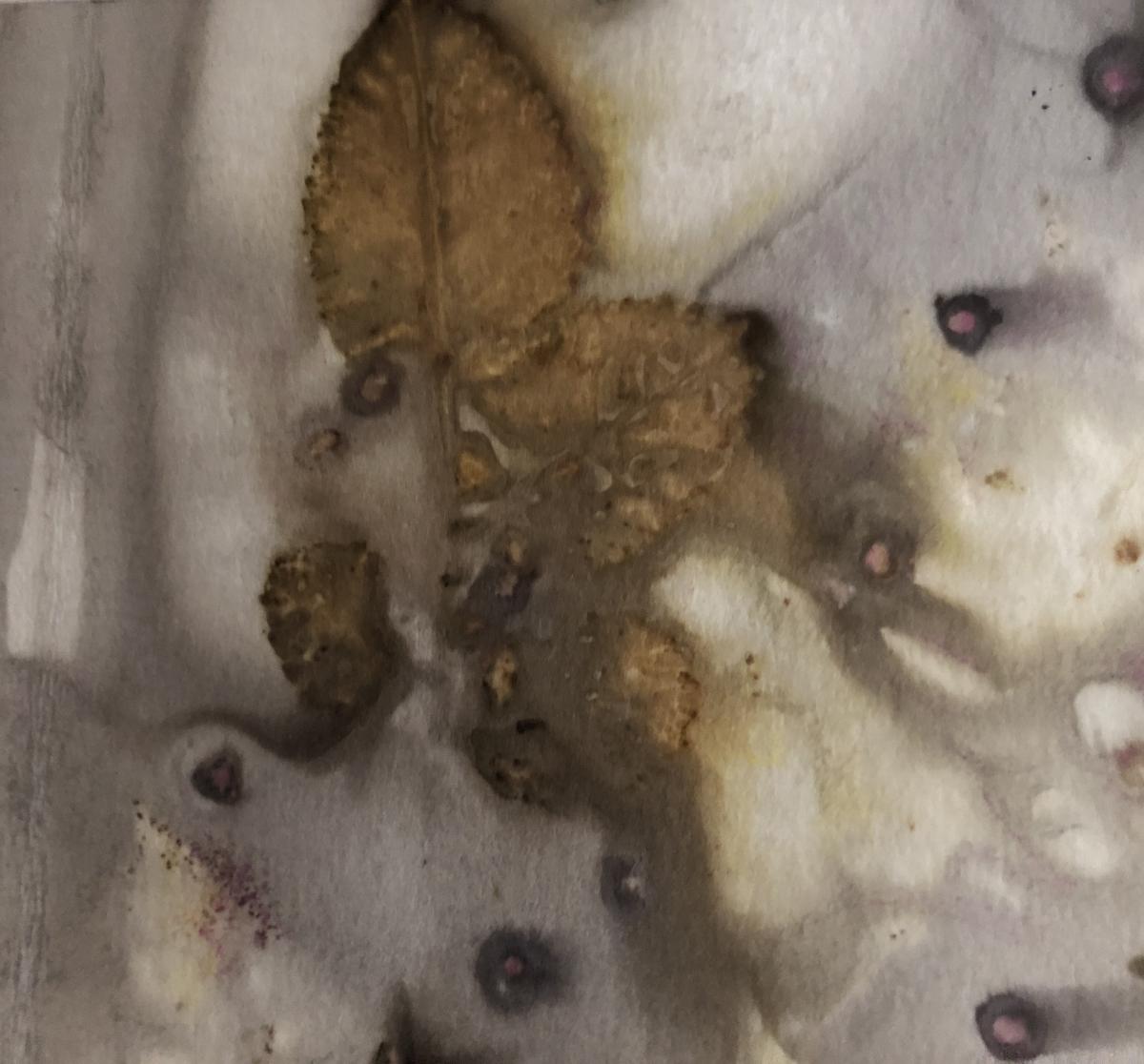 Mirrored Patterns picture