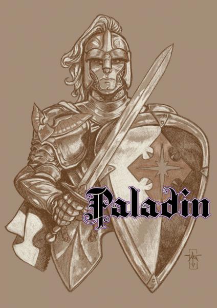 Classic Classes T-Shirt: Paladin picture