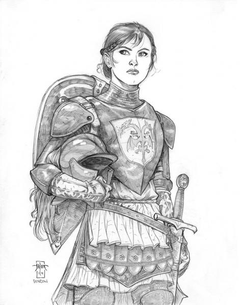 Pathfinder Paladin picture