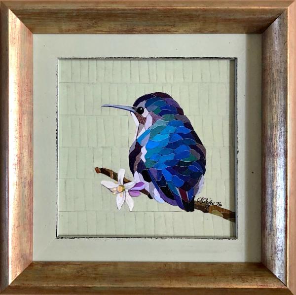 Blue Hummingbird picture