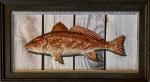 Redfish