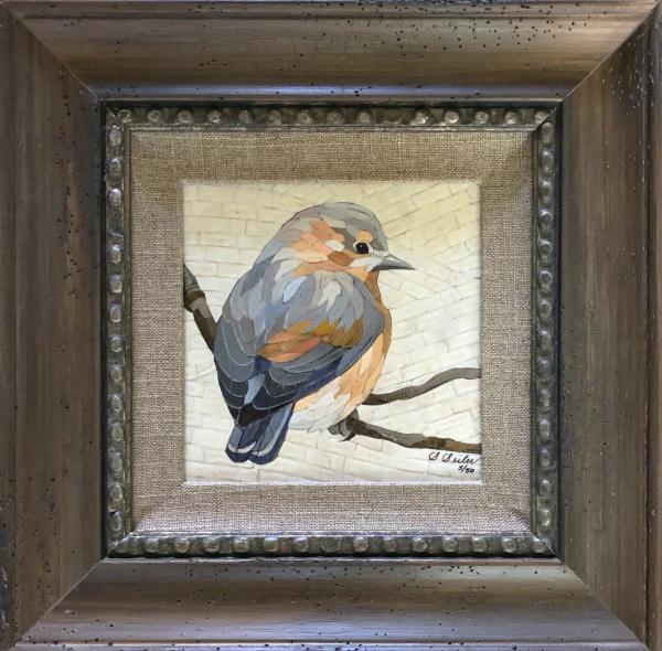 Admiration Birds / Bluebird