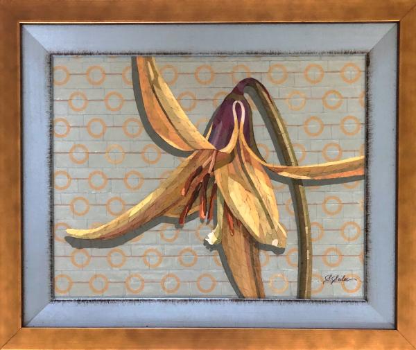 Trout Lily / Mid-Century Modern