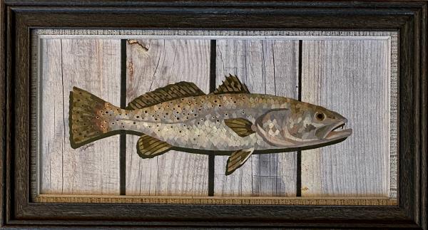 Speckled Trout picture