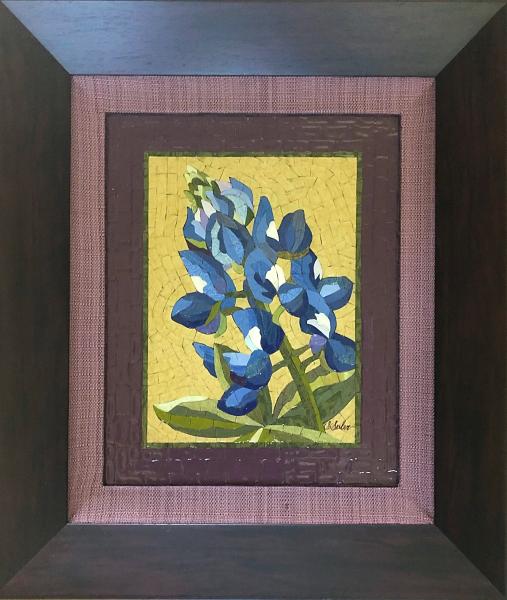 Bluebonnet