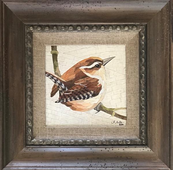 Admiration Bird / Carolina Wren picture