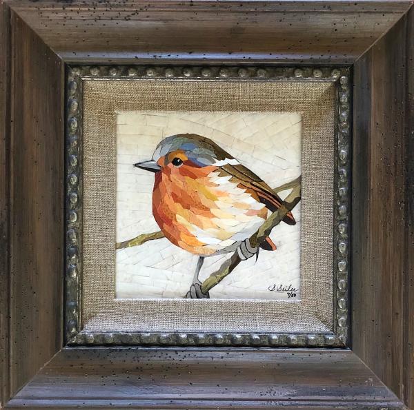 Admiration Bird / Robin