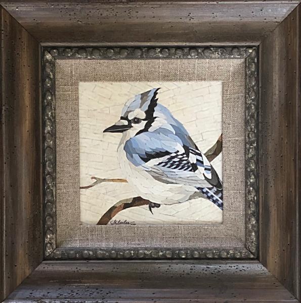 Admiration Bird / Blue Jay