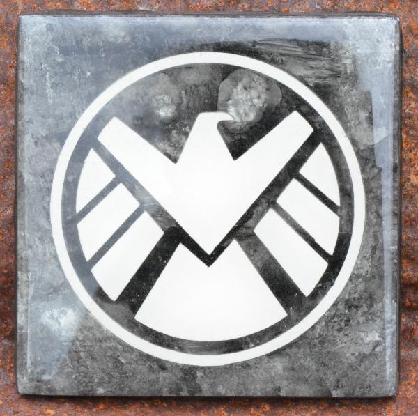 Shield Logo picture