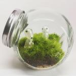 Kodama Glow-in-Dark Figures // Living Moss Terrarium Ecosystem Ghibli