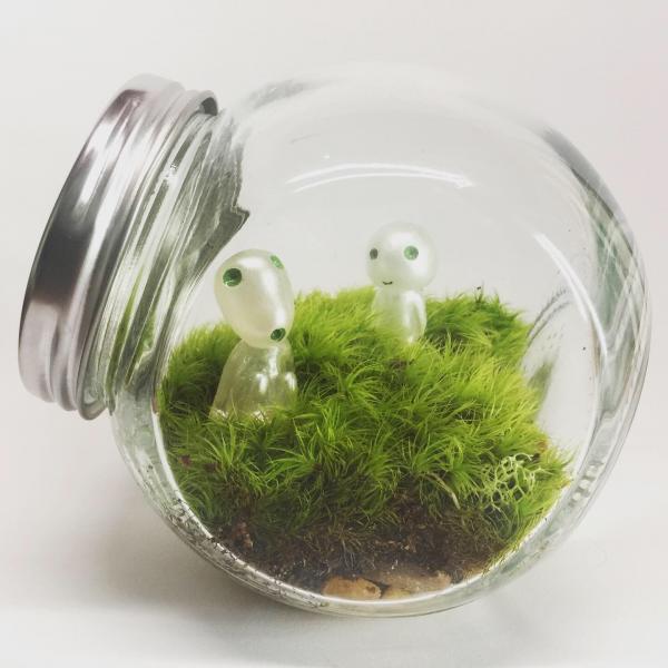 Kodama Glow-in-Dark Figures // Living Moss Terrarium Ecosystem Ghibli picture