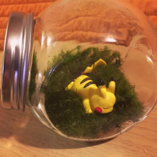 Sleeping Pokemon Living Moss Ecosystem // Charmander// Squirtle // Pikachu// Pokemon picture