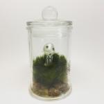 Living Moss Ecosystem // Glow in the Dark Kodama // Ghibli Terrarium Home