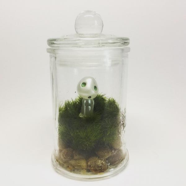 Living Moss Ecosystem // Glow in the Dark Kodama // Ghibli Terrarium Home picture