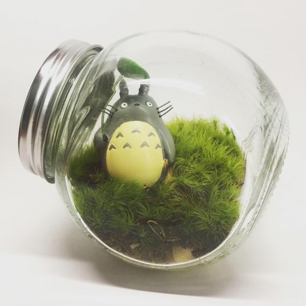 Totoro Living Moss Ecosystem Terrarium Ghibli picture