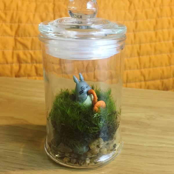 Living Moss Ecosystem // Glow in the Dark Kodama // Ghibli Terrarium Home picture