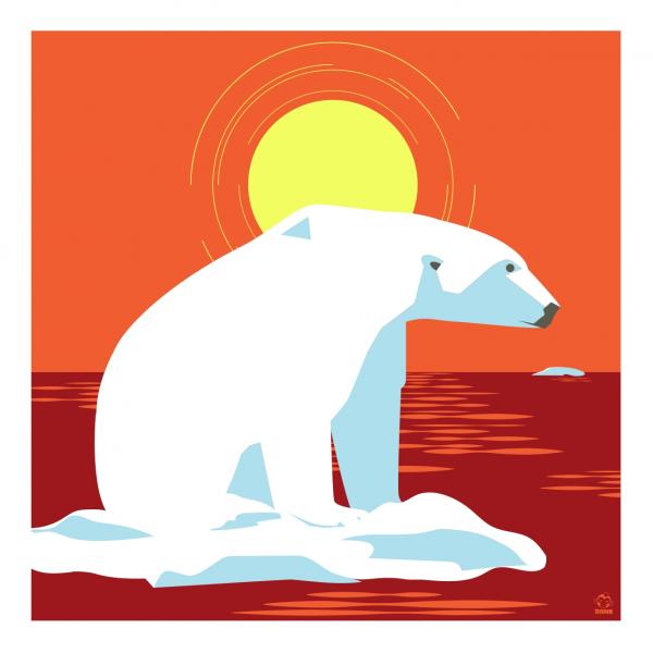 Waiting For Winter Polar Bear 10x10 Giclee Print picture