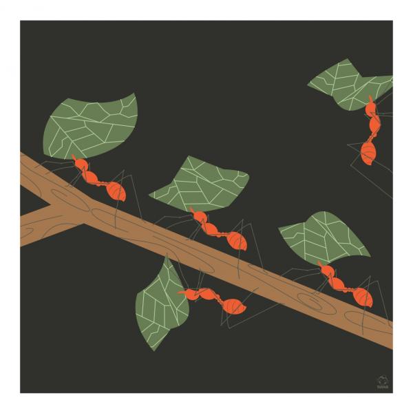 Those! Leaf Cutter Ants 10x10 Giclee Print picture