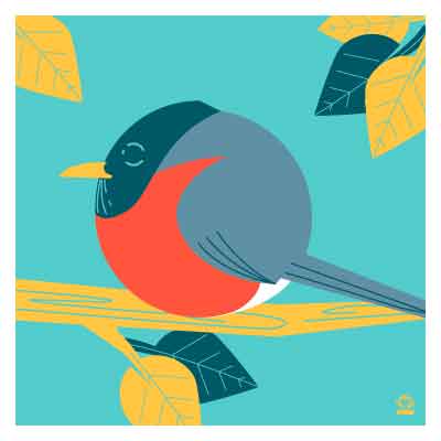 BORBS Robin 4x4 Limited Edition Print