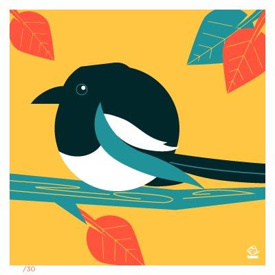 Magpie 4x4 Limited Edition Print picture