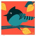 Stellar's Jay 4x4 Limited Edition Print