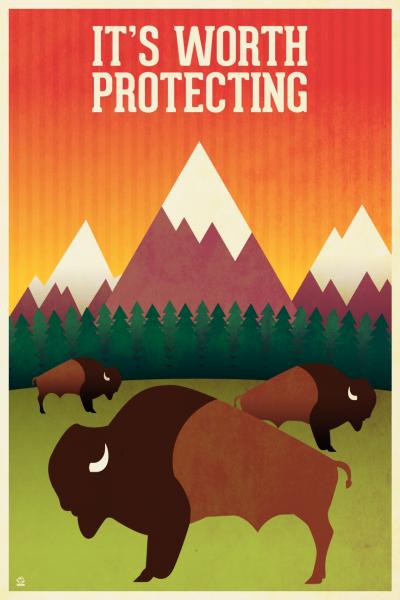 It's Worth Protecting Bison - 12x18 EPA/NPS POPaganada Print