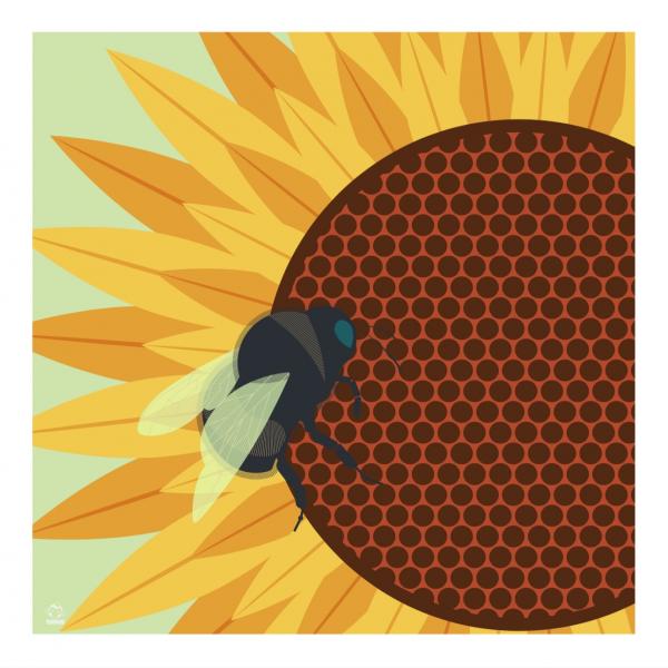 Bumblebee 10x10 Giclee Print