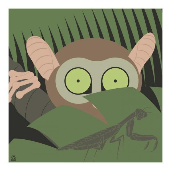 I See You Tarsier 10x10 Giclee Print picture