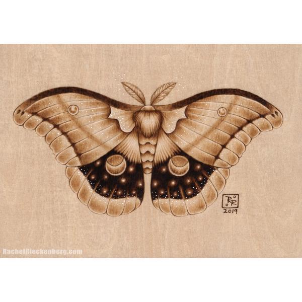 Cosmic Moth #2 - Open Edition Print