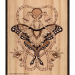 Entangled Beauty - Open Edition Print