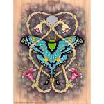 Entangled Beauty Colored - Open Edition Print