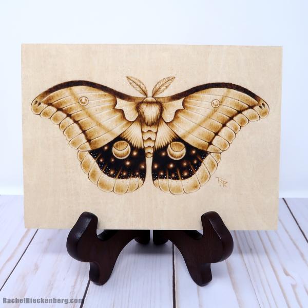Cosmic Moth #2 - Open Edition Print picture