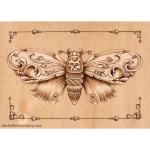 Death Head Moth - Open Edition Print