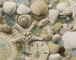 Spiral Shell & Sea Glass REPRODUCTION