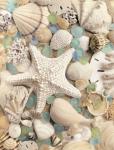 Bahama Starfish & Scallop REPRODUCTION