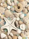 Bahama Starfish & Sun Dial REPRODUCTION