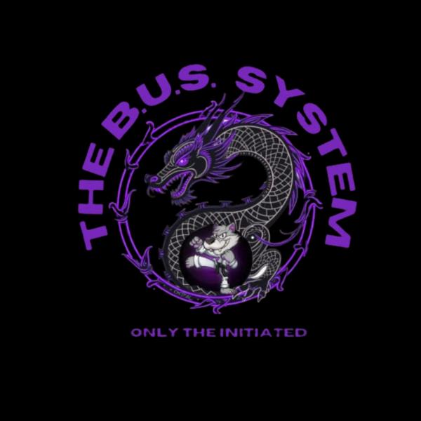 The BUS Systems LLC
