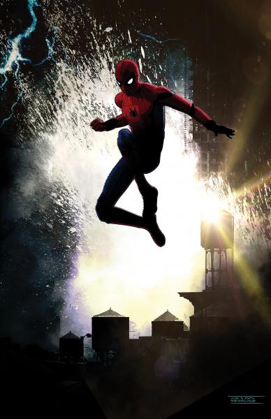 Spiderman Metal Print picture