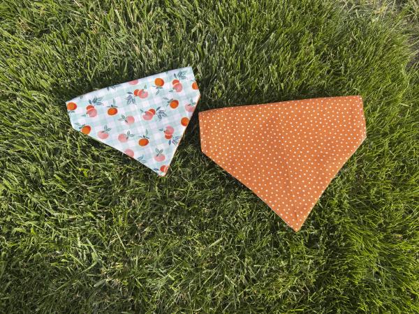Handmade Reversible Over the Collar Dog Bandana