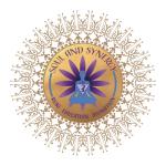 Soul and Synergy LLC
